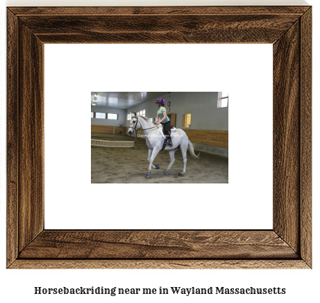 horseback riding near me in Wayland, Massachusetts